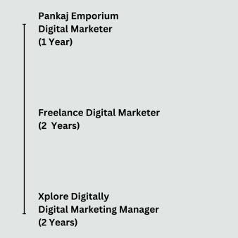 Digital Marketer (3)